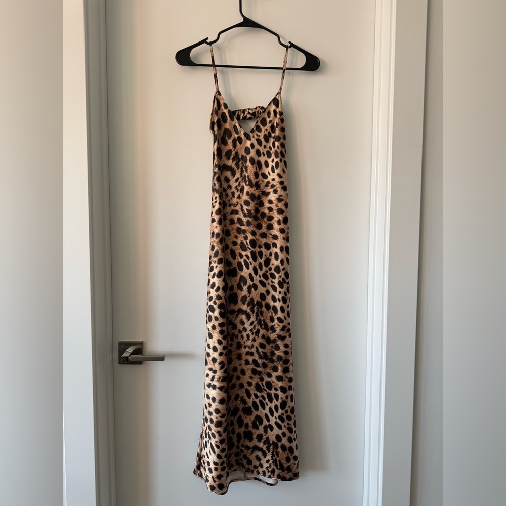 NWT Zara Cheetah Dress